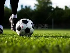 独家预告,月盛况,日本,PA真人娱乐官方网站,视频直播,免费试玩,PA,Gaming