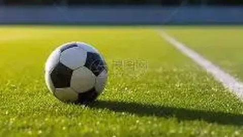 pa真人 资讯 132604 d64